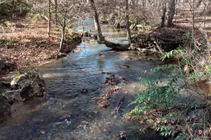 1356 Woodbrier, Sautee Nacoochee, GA 30571 - Photo 39