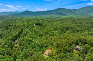 1356 Woodbrier, Sautee Nacoochee, GA 30571 - Photo 43