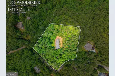 1356 Woodbrier, Sautee Nacoochee, GA 30571 - Photo 41