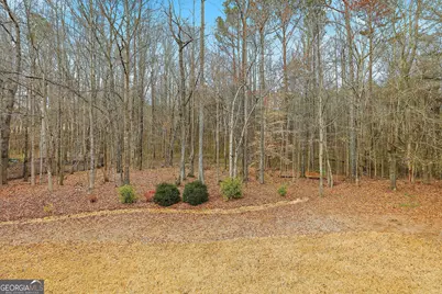 235 Ashmere Court, Tyrone, GA 30290 - Photo 57