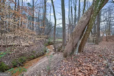 1020 Lower Union Hill Road, Canton, GA 30115 - Photo 59