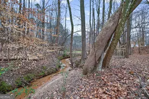 1020 Lower Union Hill Rd, Canton, GA 30115 - Photo 59