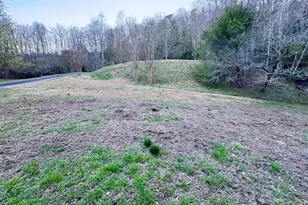 6159 Wolffork Rd, Rabun Gap, GA 30568 - Photo 19