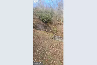 6159 Wolffork Road, Rabun Gap, GA 30568 - Photo 11