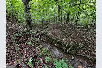 000 Fisher Creek Road, Talking Rock, GA 30175 - Photo 13