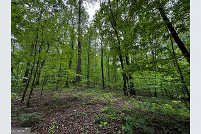 000 Fisher Creek Road, Talking Rock, GA 30175 - Photo 15
