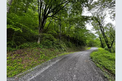 000 Fisher Creek Road, Talking Rock, GA 30175 - Photo 3