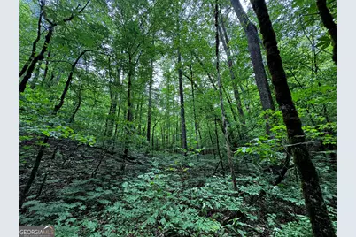 000 Fisher Creek Road, Talking Rock, GA 30175 - Photo 11