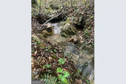 000 Fisher Creek Road, Talking Rock, GA 30175 - Photo 9