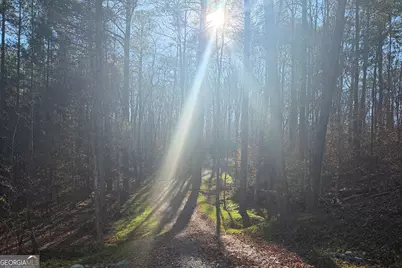 000 Fisher Creek Road, Talking Rock, GA 30175 - Photo 19