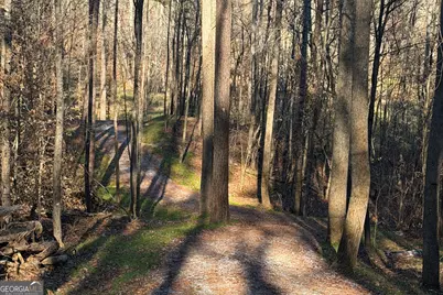 000 Fisher Creek Road, Talking Rock, GA 30175 - Photo 21