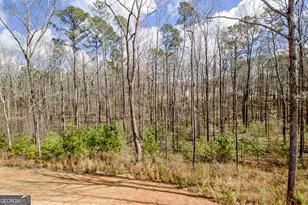 169 Emery Nell Ln, Newnan, GA 30263 - Photo 71