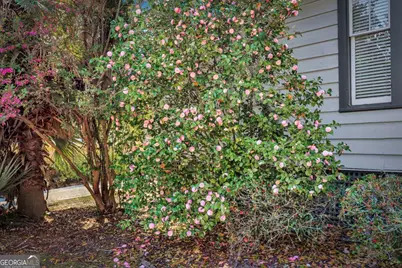 2403 Harmon Street, Savannah, GA 31401 - Photo 33