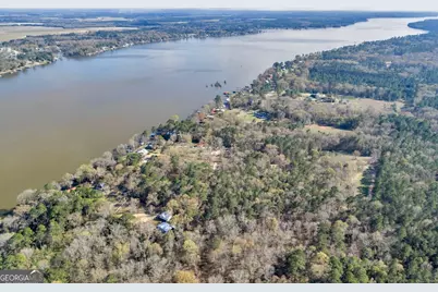 418 Flintside Drive, Cobb, GA 31735 - Photo 41