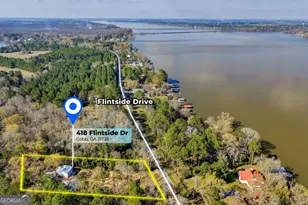 418 Flintside Dr, Cobb, GA 31735 - Photo 43