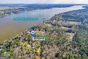 418 Flintside Dr, Cobb, GA 31735 - Photo 41