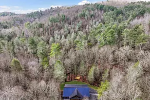 641 Bryant Farm Ln, Ellijay, GA 30540 - Photo 59