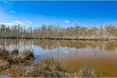 342 Norris Road, Barnesville, GA 30204 - Photo 37