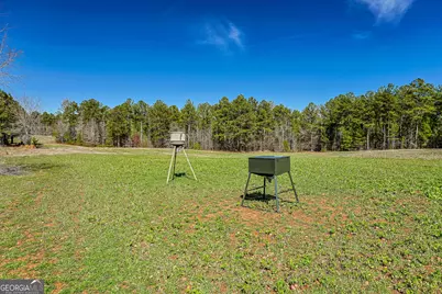 342 Norris Road, Barnesville, GA 30204 - Photo 35