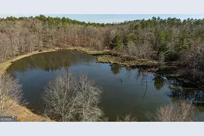 342 Norris Road, Barnesville, GA 30204 - Photo 23