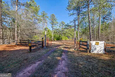 342 Norris Road, Barnesville, GA 30204 - Photo 41