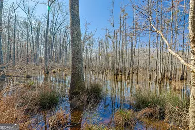 342 Norris Road, Barnesville, GA 30204 - Photo 19