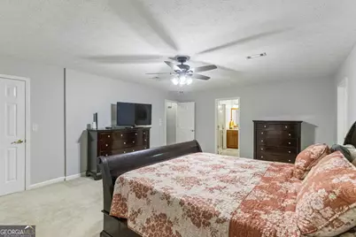 160 Old Field Road, Sharpsburg, GA 30277 - Photo 21