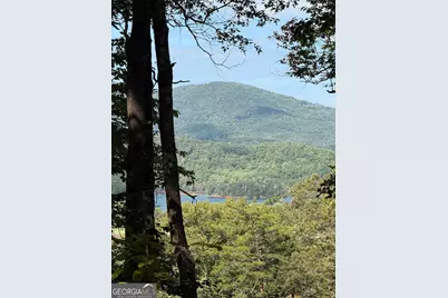Lot 5 Whiskey Mountain Estates, Hiawassee, GA 30546 - Photo 5