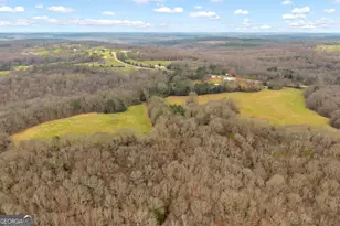 787 Parham Town Rd, Bowman, GA 30624 - Photo 17