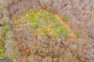 787 Parham Town Rd, Bowman, GA 30624 - Photo 7