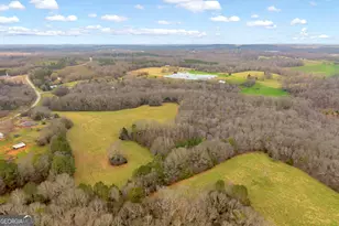 787 Parham Town Rd, Bowman, GA 30624 - Photo 9