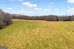 787 Parham Town Rd, Bowman, GA 30624 - Photo 21