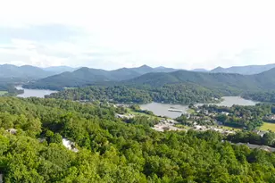 Lot 7 Whiskey Mountain Estates, Hiawassee, GA 30546 - Photo 7
