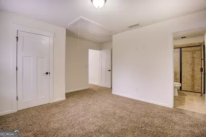 10 Plum Blossom Lane, Hampton, GA 30228 - Photo 33