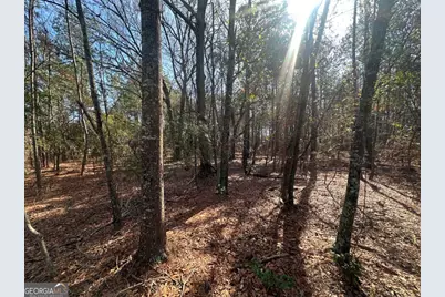 0 Old Dixie Hwy North, Newington, GA 30446 - Photo 9