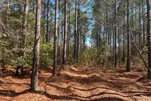 0 Old Dixie Hwy N, Newington, GA 30446 - Photo 1