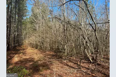 0 Old Dixie Hwy North, Newington, GA 30446 - Photo 13