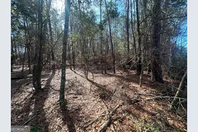 0 Old Dixie Hwy North, Newington, GA 30446 - Photo 5
