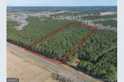 Lot 2 Ben Giddens Road, Eastman, GA 31023 - Photo 1