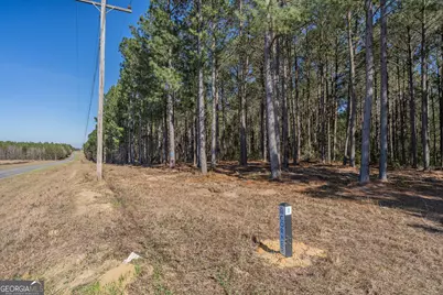 Lot 2 Ben Giddens Road, Eastman, GA 31023 - Photo 7