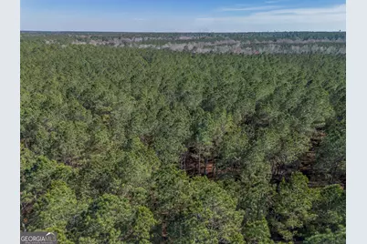 Lot 2 Ben Giddens Road, Eastman, GA 31023 - Photo 3
