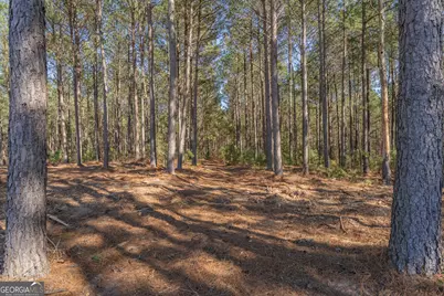 Lot 2 Ben Giddens Road, Eastman, GA 31023 - Photo 9