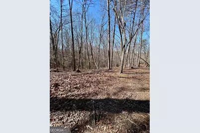 7 Ivy Hills Drive, Cleveland, GA 30528 - Photo 7