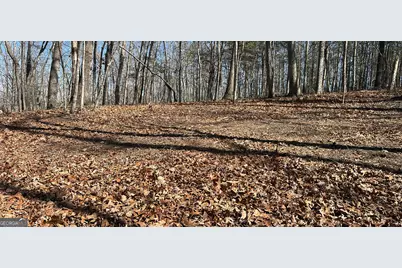 7 Ivy Hills Drive, Cleveland, GA 30528 - Photo 1