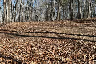 7 Ivy Hills Dr, Cleveland, GA 30528 - Photo 1