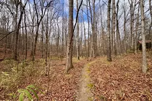 130 Emerald Ln, Fayetteville, GA 30214 - Photo 73