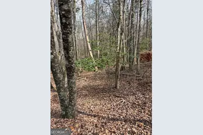 0 Seneca Drive, Ellijay, GA 30540 - Photo 3