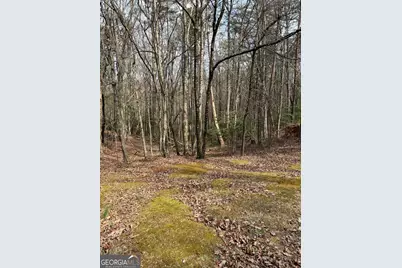 0 Seneca Drive, Ellijay, GA 30540 - Photo 5