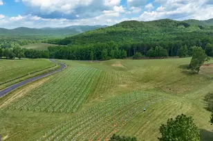 1281 Twisted Oak Rd, Talking Rock, GA 30175 - Photo 31