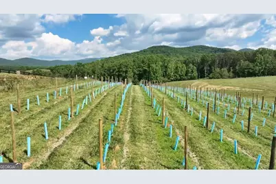 1281 Twisted Oak Road, Talking Rock, GA 30175 - Photo 31